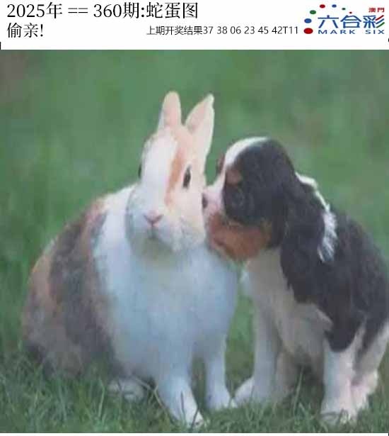 360期正版蛇蛋图[图]