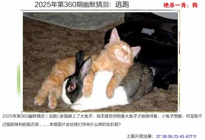 360期幽默猜测[图]