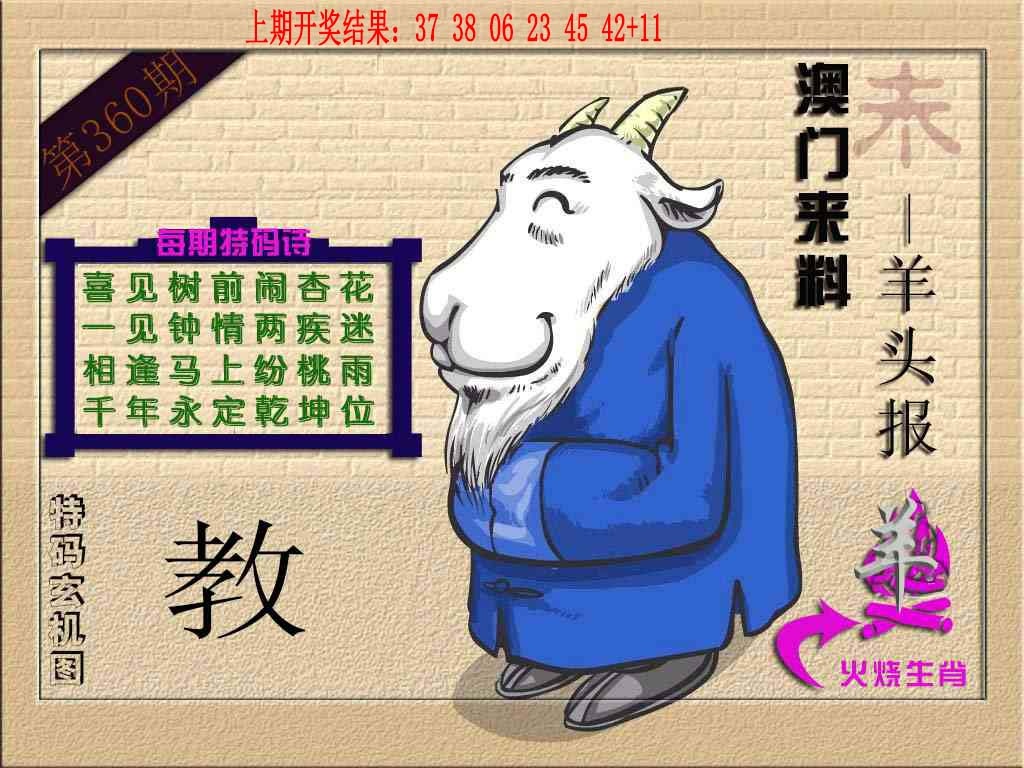 360期(来料)羊报[图]