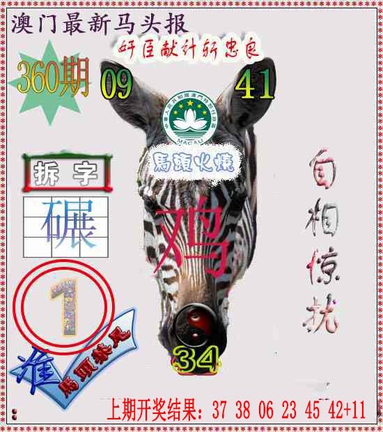 360期马头报[图]