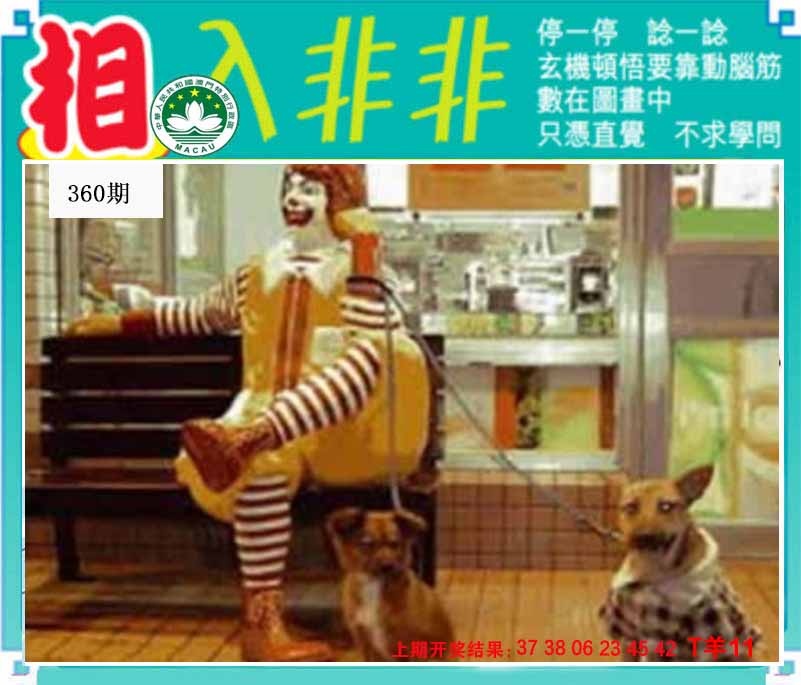 360期相入非非[图]