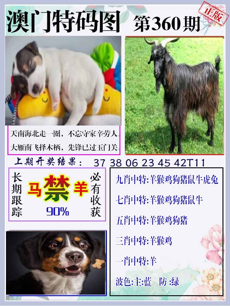 360期特码图[图]