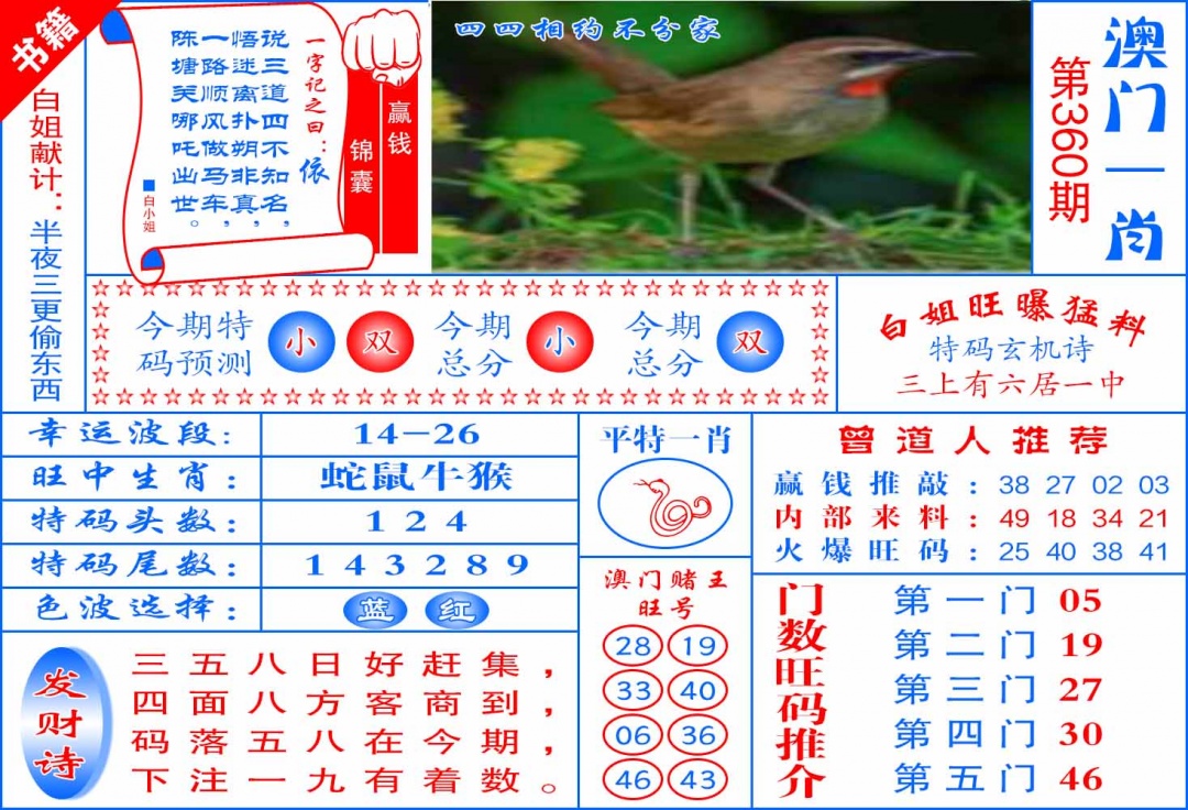 360期澳门东北虎[图]