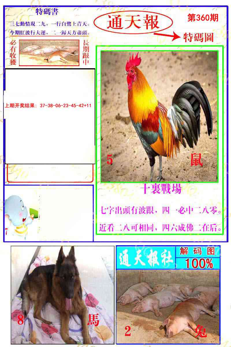 360期通天特解图[图]