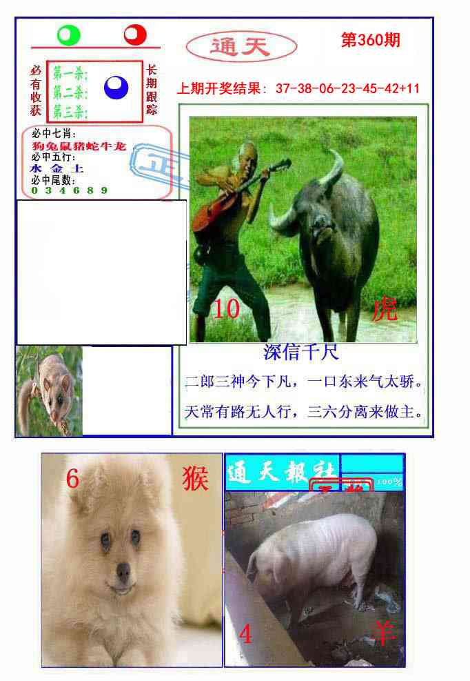 360期通天杀波图2[图]