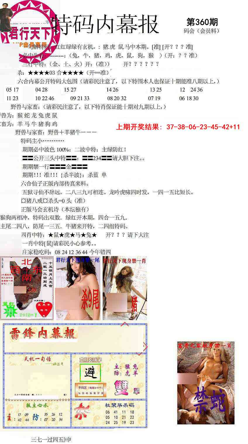 360期特码内幕报[图]