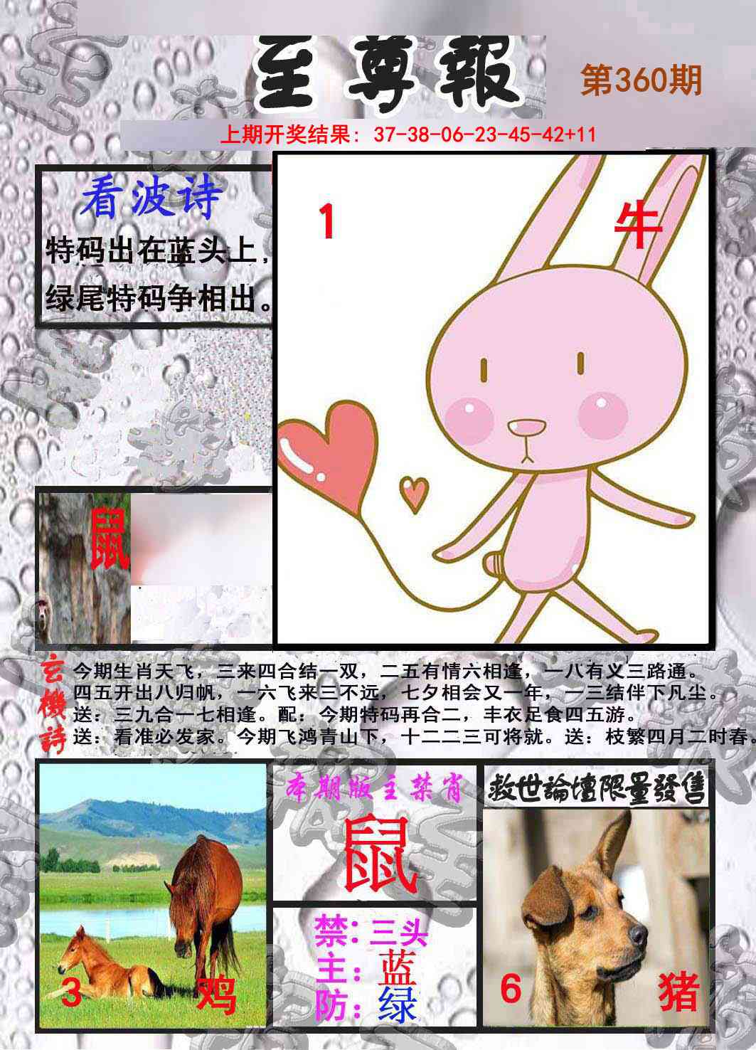 360期至尊报[图]