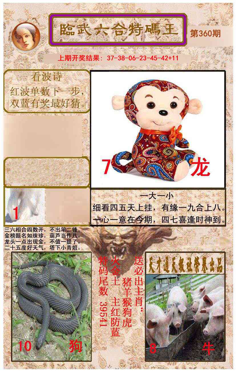 360期临武六合特码王[图]