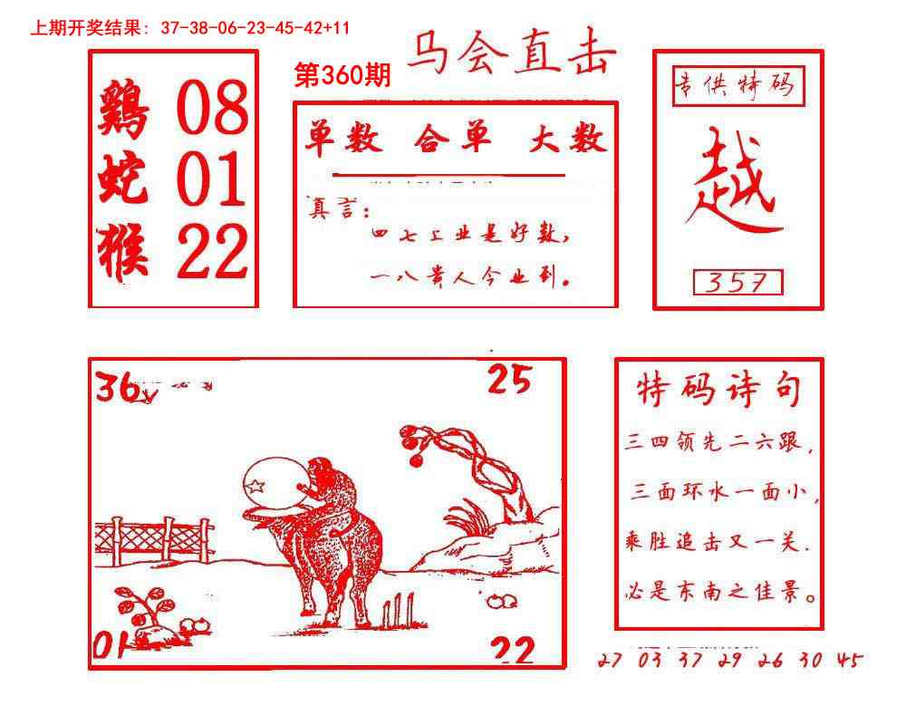 360期马会直击[图]
