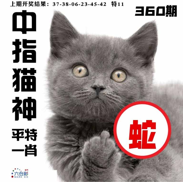 360期中指猫神[图]